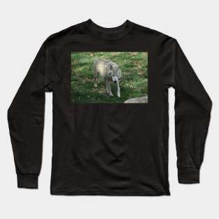 Wolf Long Sleeve T-Shirt